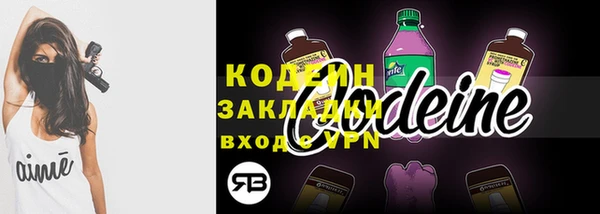 амф Бородино
