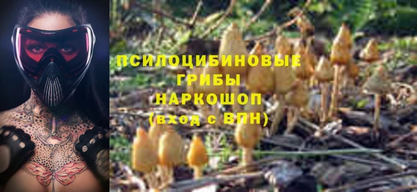 бутират Бугульма