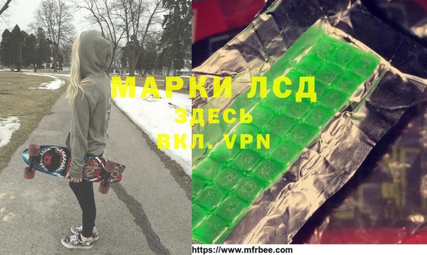 амф Бородино