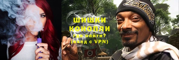 амф Бородино