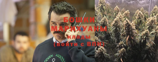 мдпв Верея